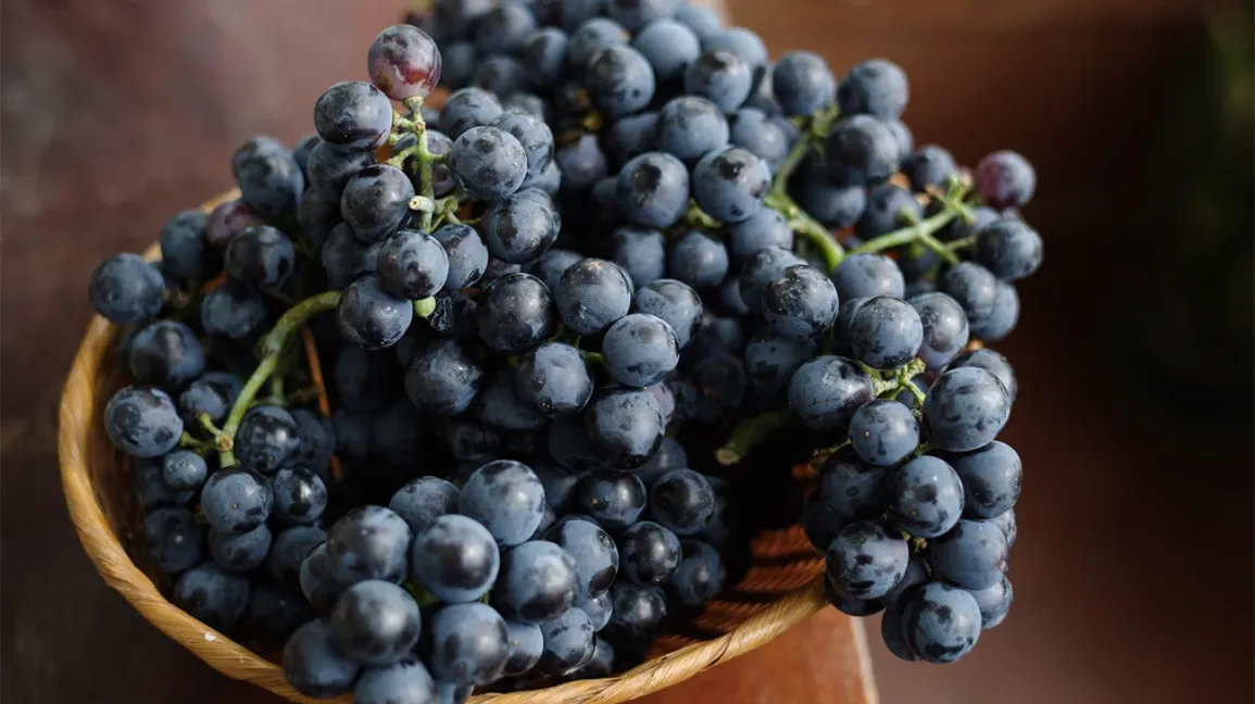 How Many Health Benefits Does Black Grapes Have