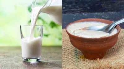 Health benefits of curd and milk for kids