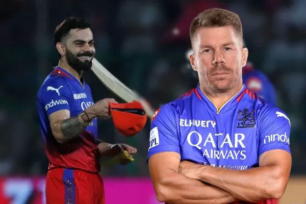 David Warner into RCB Over Ipl 2025