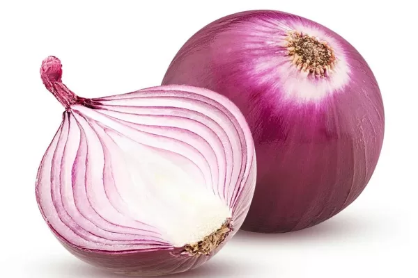 Onion Facts For Health Of Human