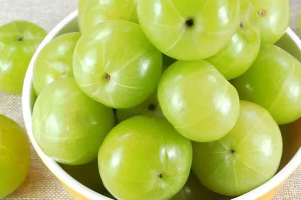 Amla Health Benefits for Human