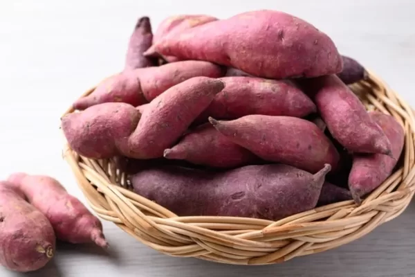 Do you eat sweet potato in winter