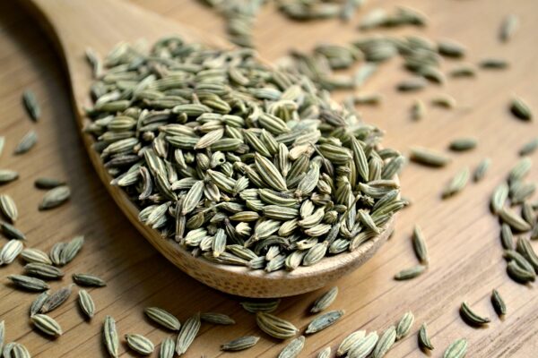 Health Benefits of Fennel Seeds