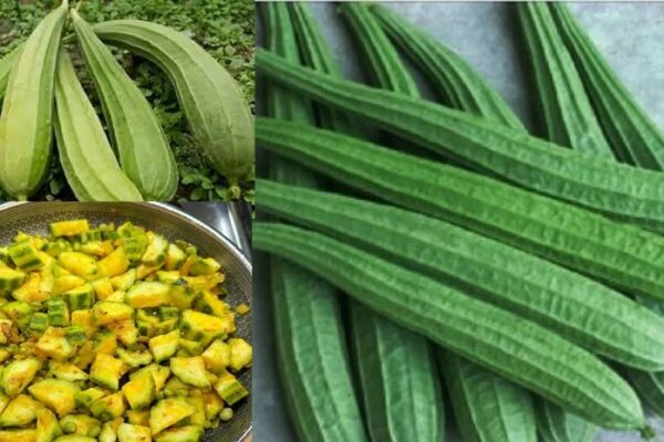 Health Benefits of Ridge Gourd