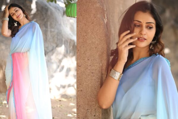 Payal Rajput upcoming movie Venkatlachimi.