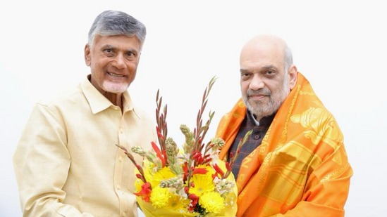 Chandrababu Discusses Development with Amit Shah