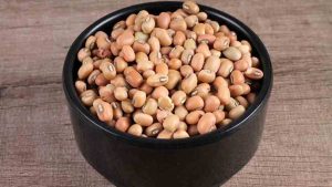 Health Benefits with Bobbarlu