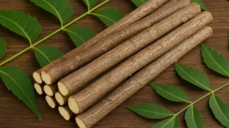 Neem Stick