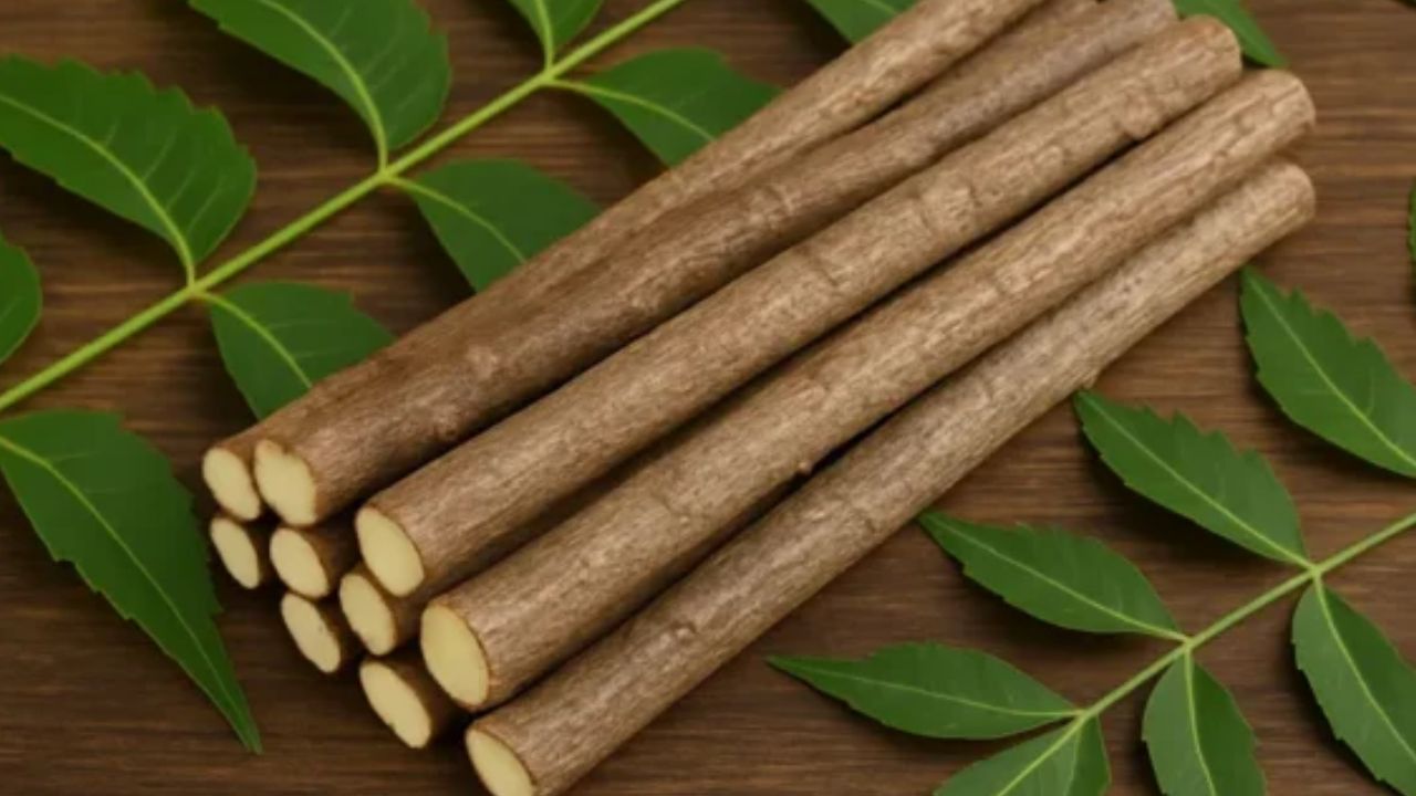 Neem Stick