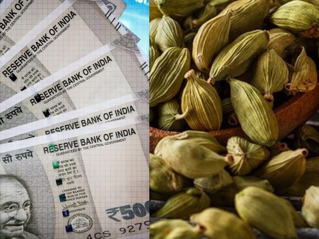 Cardamom