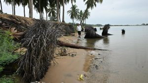 Andhra Pradesh Coast Gold dust discovery