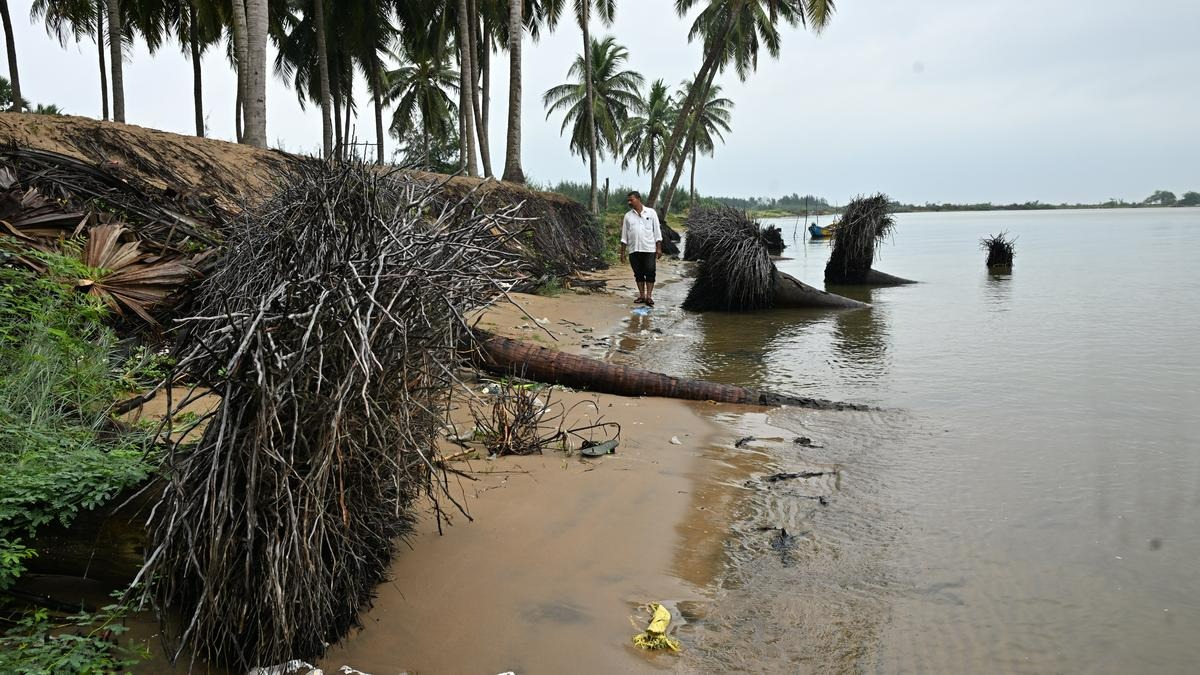 Andhra Pradesh Coast Gold dust discovery
