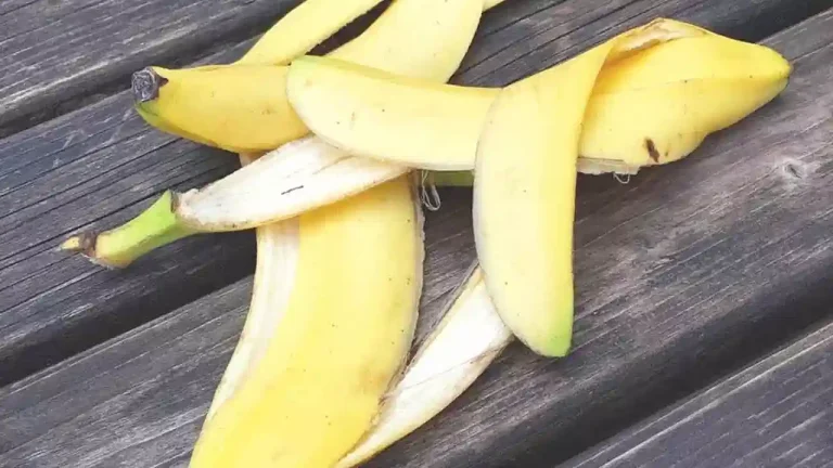 Banana Peel