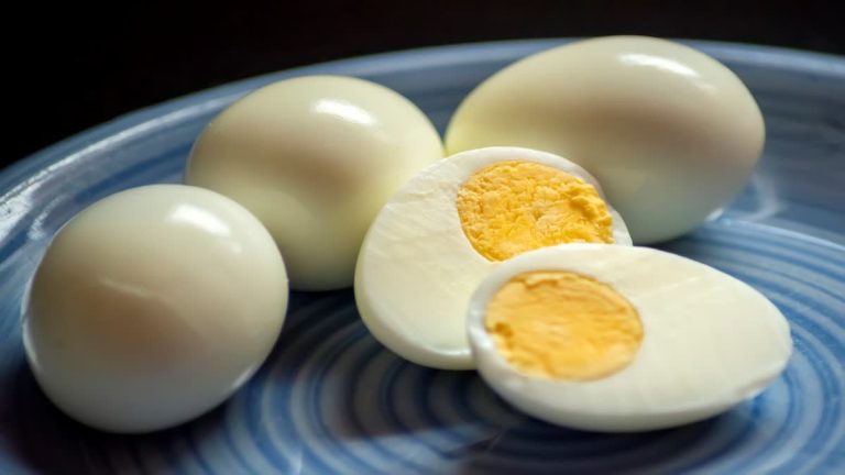 Egg