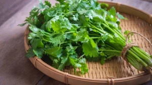 Coriander Leaves Benefits for human life
