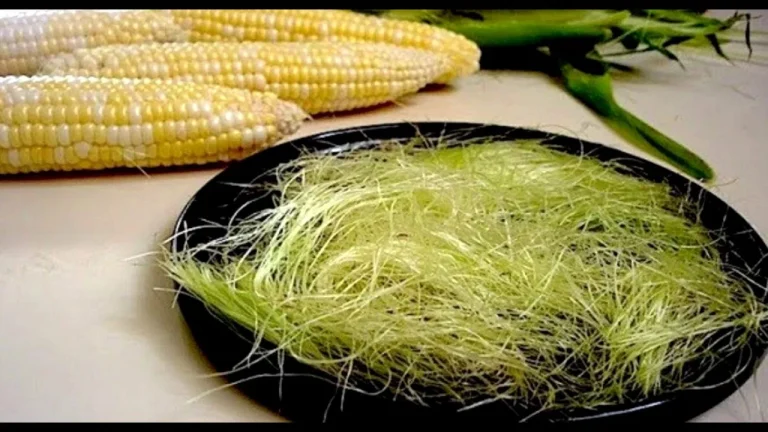Corn silk benefits