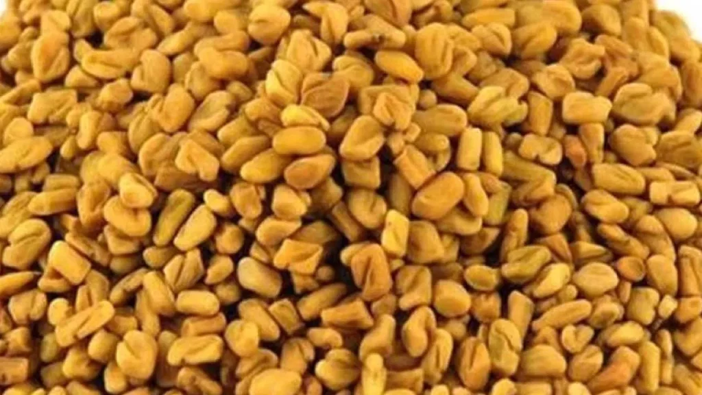 Fenugreek seeds offer several health benefits