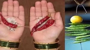 Nara Dishti