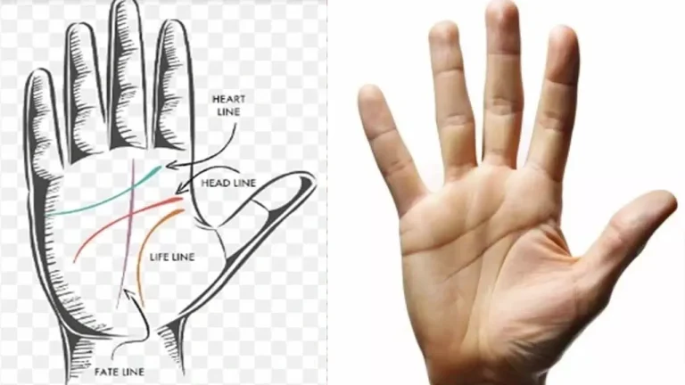 Palmistry