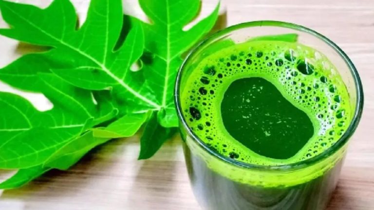 Papaya leaf juice may offer several health benefits