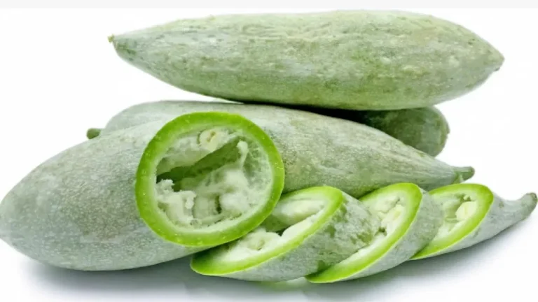 Snake gourd