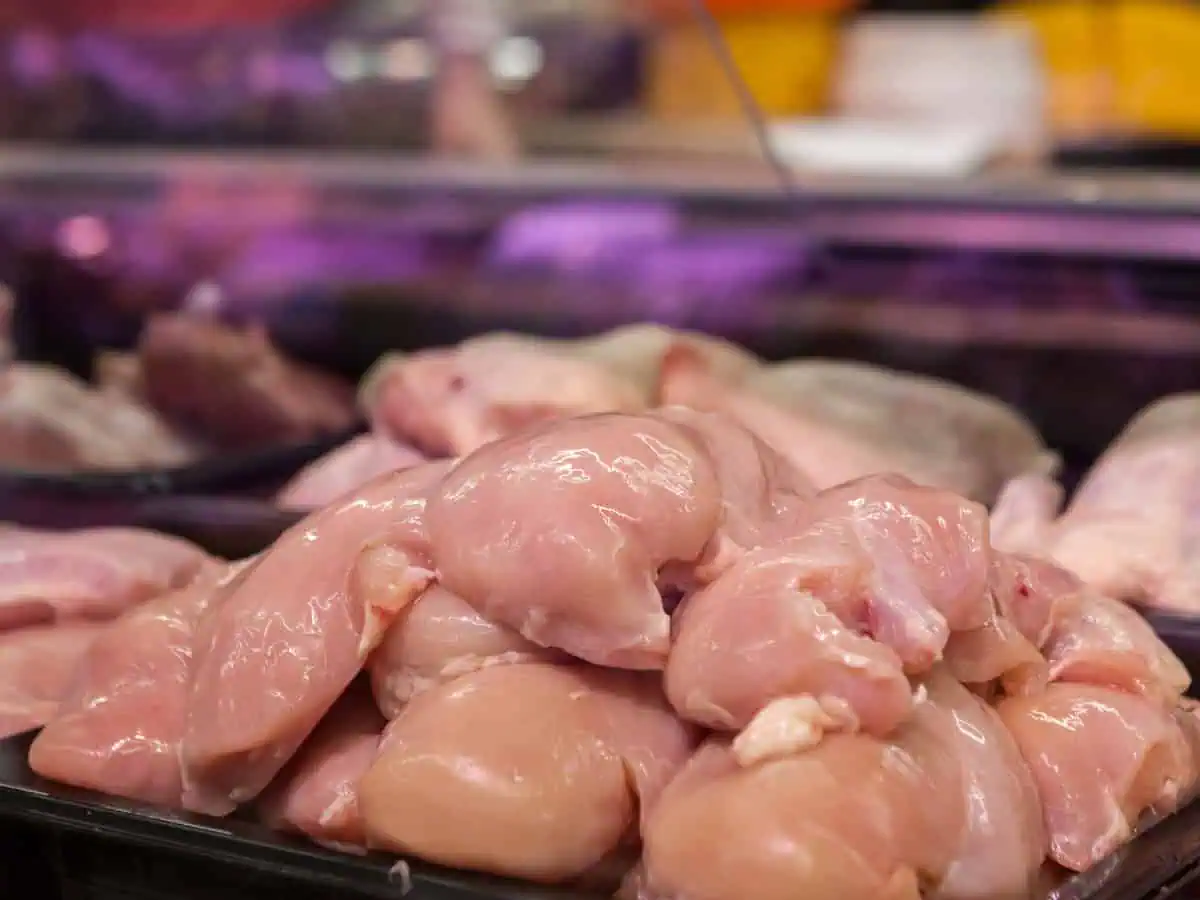 Chicken