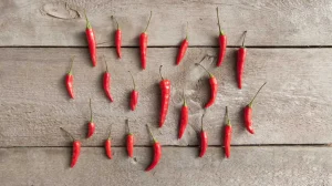 Chilli