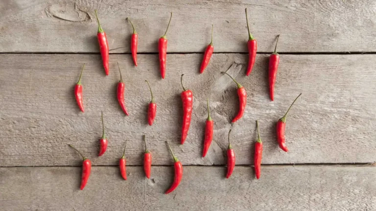 Chilli