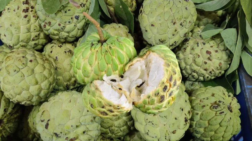 Custard Apples