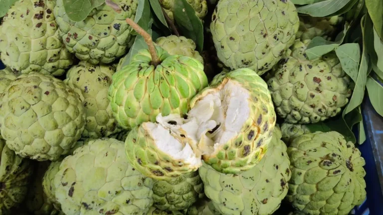 Custard Apples