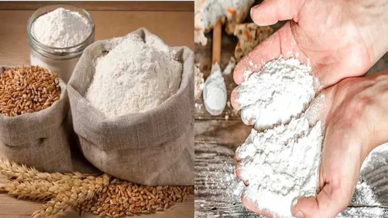 Why Maida Flour Harmful to Your Health