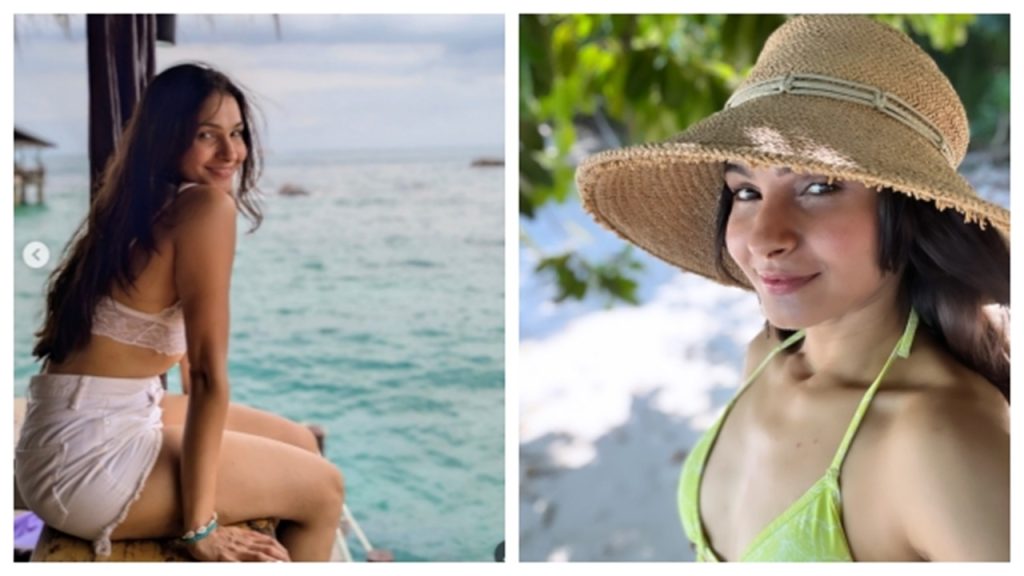 Andrea comments on Pisasu-2