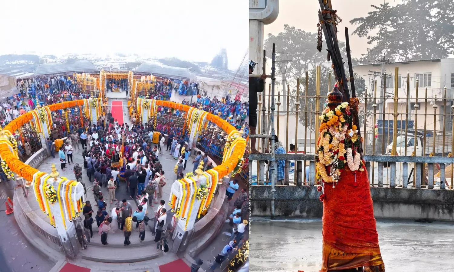 Sammakka Sarakka: ఆసియాలోనే అతిపెద్ద గిరిజన వేడుక 'మేడారం'.. ఇంత భయంకరమా.. చరిత్ర దాచిన నిజం!! History Of Sammakka Sarakka Medaram Jatara