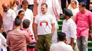 Rahul Gandhi Warns On Energy Security