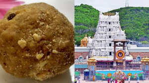 Final Report On TTD Ghee Adulteration