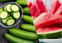 Body Cooling: కీరదోస, పుచ్చకాయలో వేడి తగ్గించడంలో ఏది బెస్ట్?