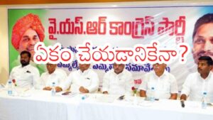 YSRCP : వైసీపీ కాపు నేతల కీలక సమావేశం.. అసలు అజెండా ఇదేనా?