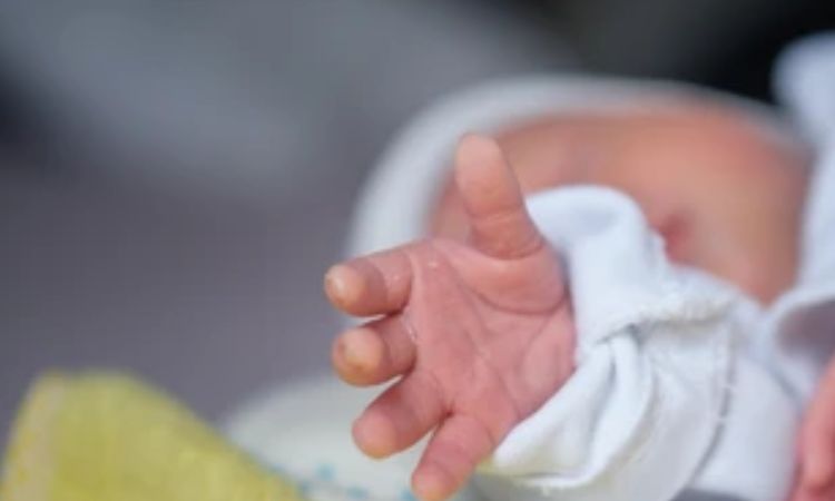 కసాయి నానమ్మ దారుణానికి ఒడిగట్టింది!