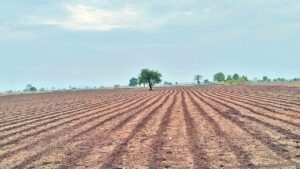 మా పొట్టగొట్టి పరిశ్రమలు పెడ్తరా?
