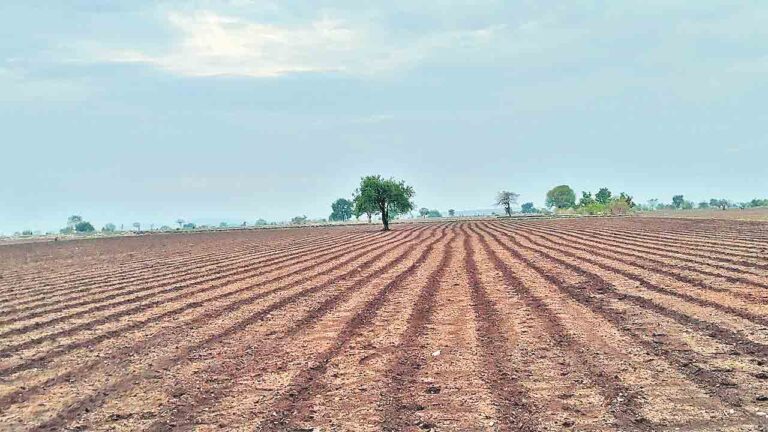 మా పొట్టగొట్టి పరిశ్రమలు పెడ్తరా?