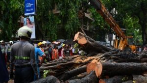 ముంబై చెట్టు కూలిపోవడం: విషాదం భద్రతా భయాలను రేకెత్తిస్తుంది
