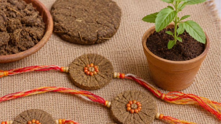 Cow Dung: ఆవు పేడతో రక్షాబంధన్ రాఖీలు.. పర్యావరణ పరిరక్షణకు కొత్త అడుగు!