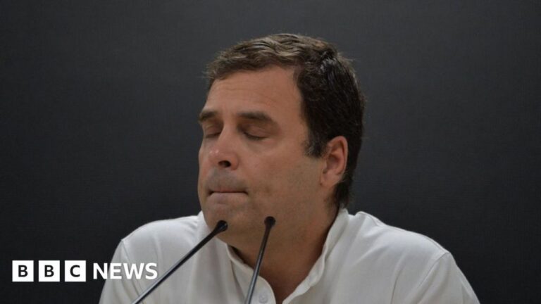 rahul-gandhi-delhi-protest-congress