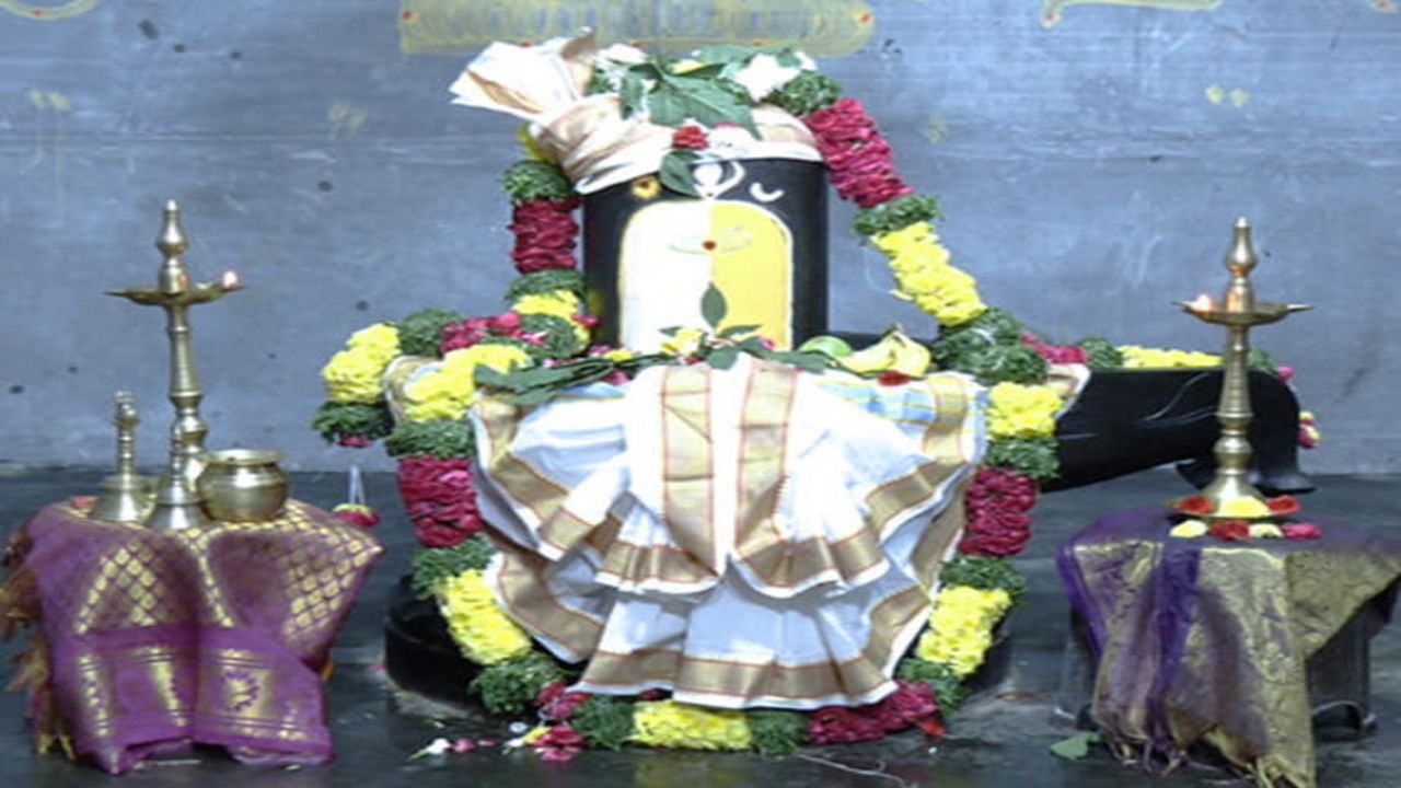 punyalingeshwara-swamy-temple-special-darshan