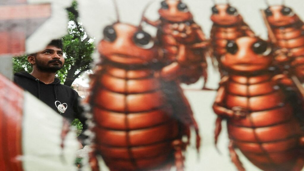 cockroaches-movement-achievements-protest-social