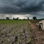rainfall-deficit-ap-farmers-crisis