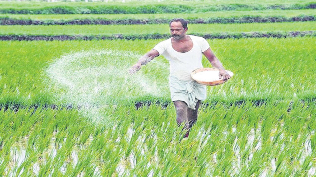 fertilizer shortage: తెలంగాణలో ఎరువుల కొరతపై కేంద్రానికి కాంగ్రెస్ ఎంపీల షాకింగ్ విజ్ఞప్తి!