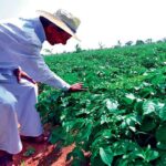 KCR Farmhouse ముట్టడికి కాంగ్రెస్ పిలుపు.. భారీగా మోహరించిన పోలీసులు KCR Farmhouse