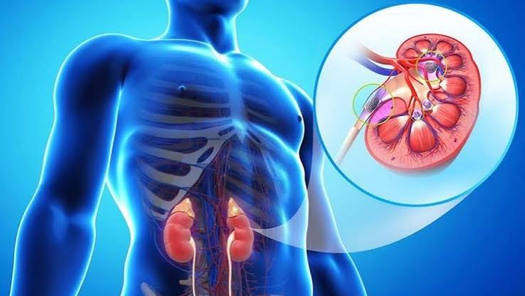 homeopathy cure kidney disease