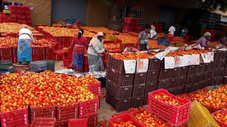 Andhra Pradesh: రాయలసీమలో టమాటా ధరల సంచలనం.. మదనపల్లె మార్కెట్‌లో షాకింగ్‌గా తగ్గిన దిగుబడి!
